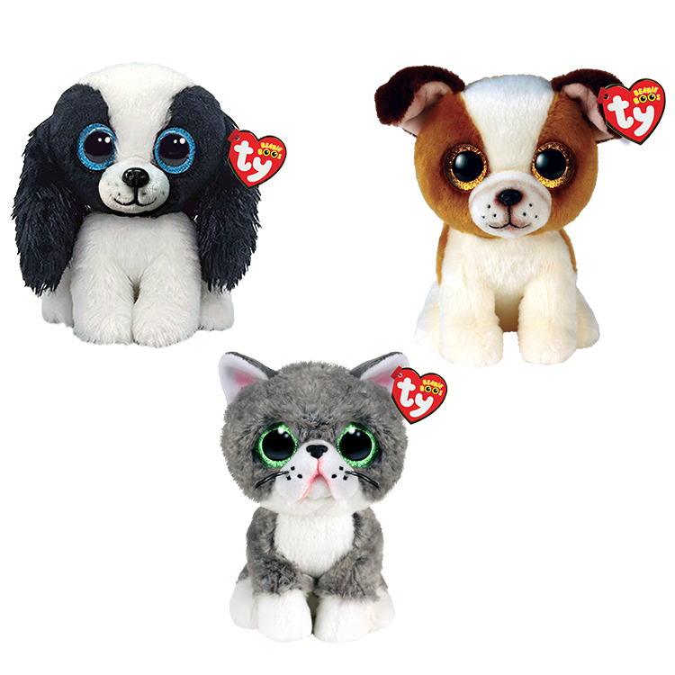 Road Trip Rascals Bundle - US 4915