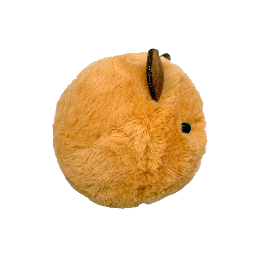 Barry - US 9938