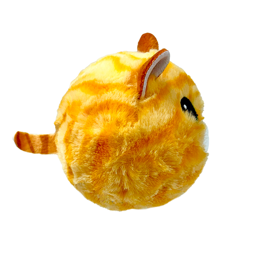 Purry - US 5621